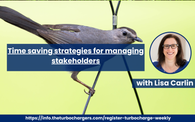 Time saving strategies for managing stakeholders