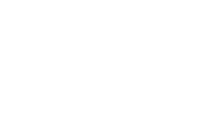 NSW Transport