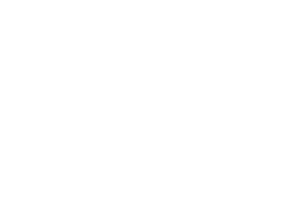 McKinsey and co